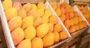 Mango del Norte